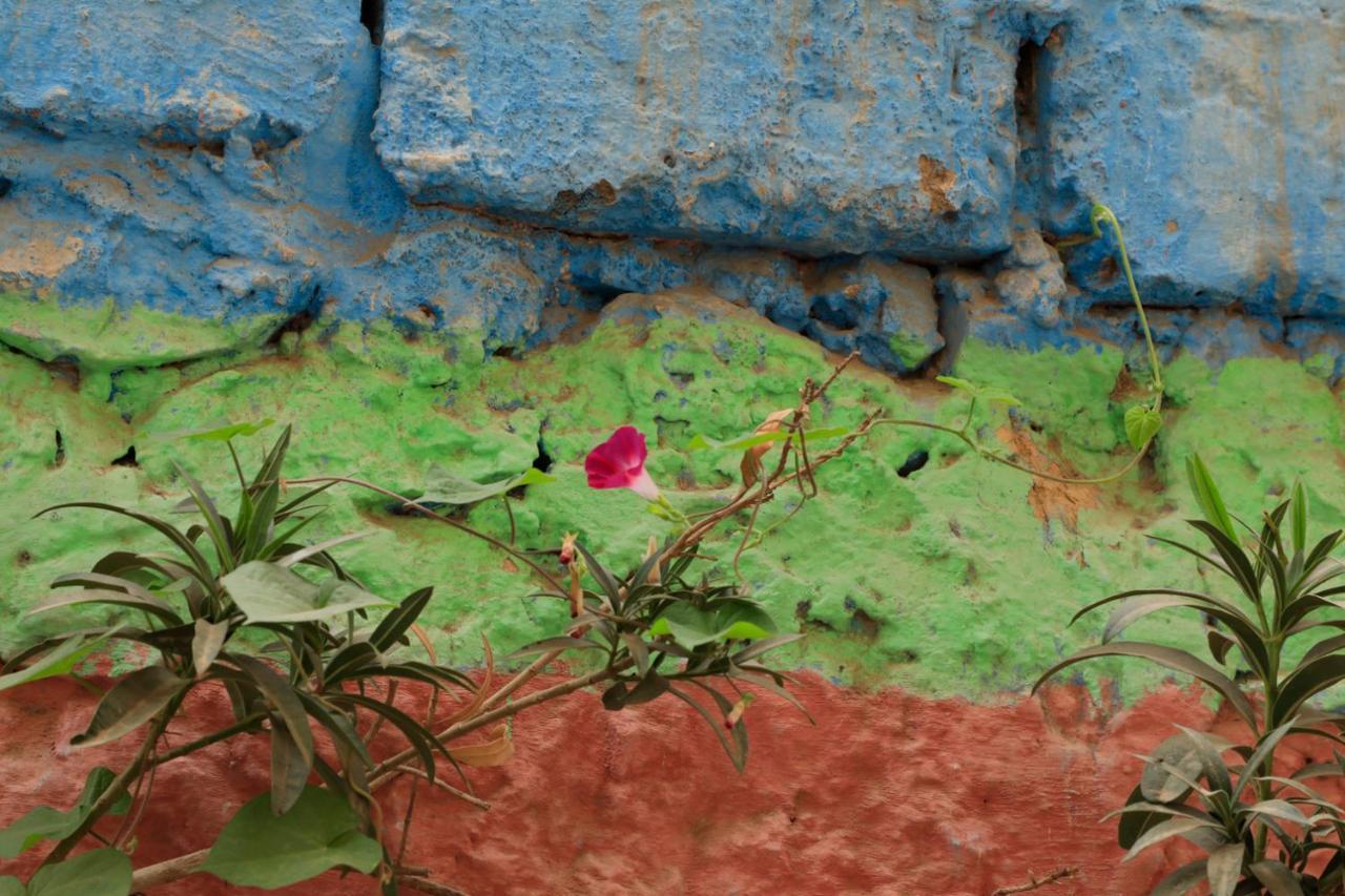 Riad Maryam Taroudant Eksteriør bilde